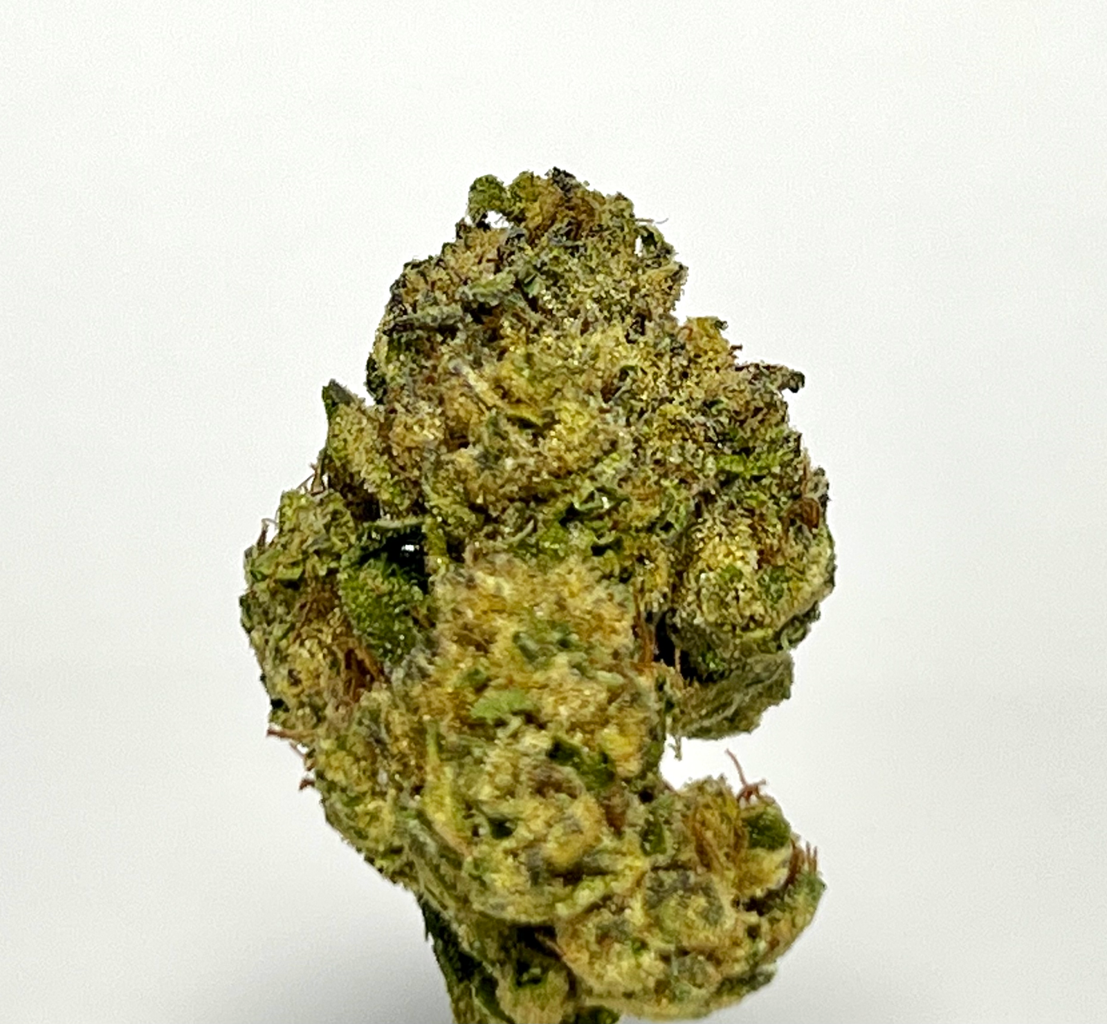 Lemon Cherry Lynx - Image 3